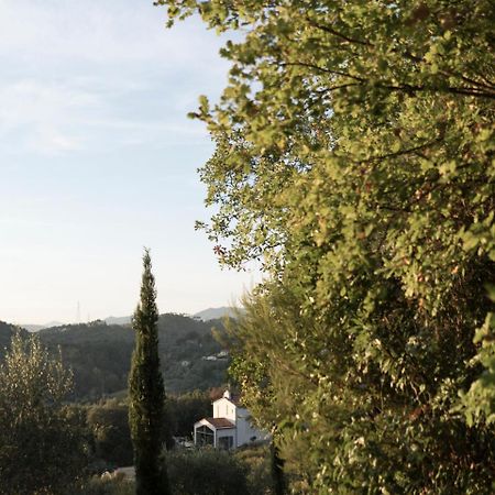 B&B La Fustaia Sarzana Exterior photo